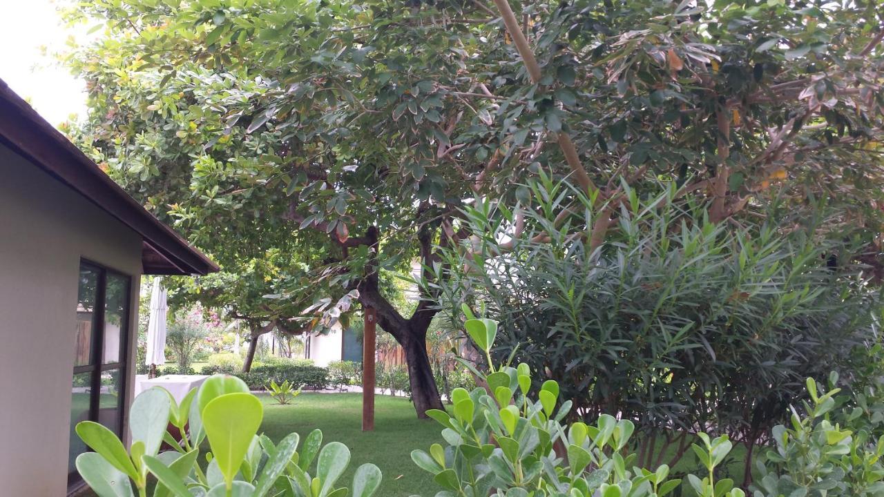 Carneiros Beach Resort ตามังดาเร ภายนอก รูปภาพ